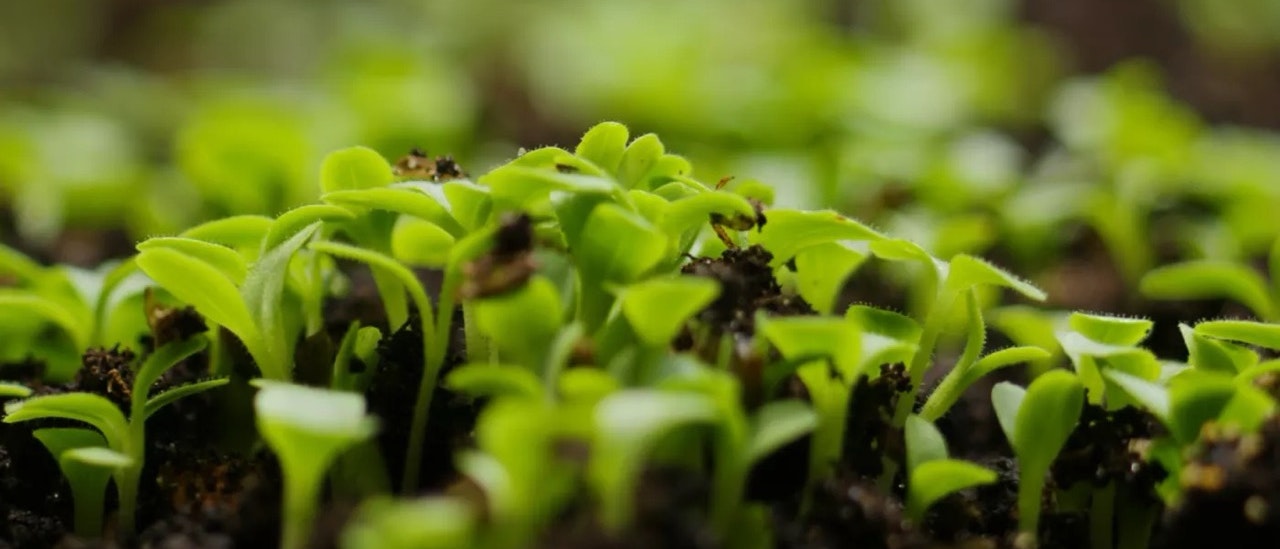 hp sustainability