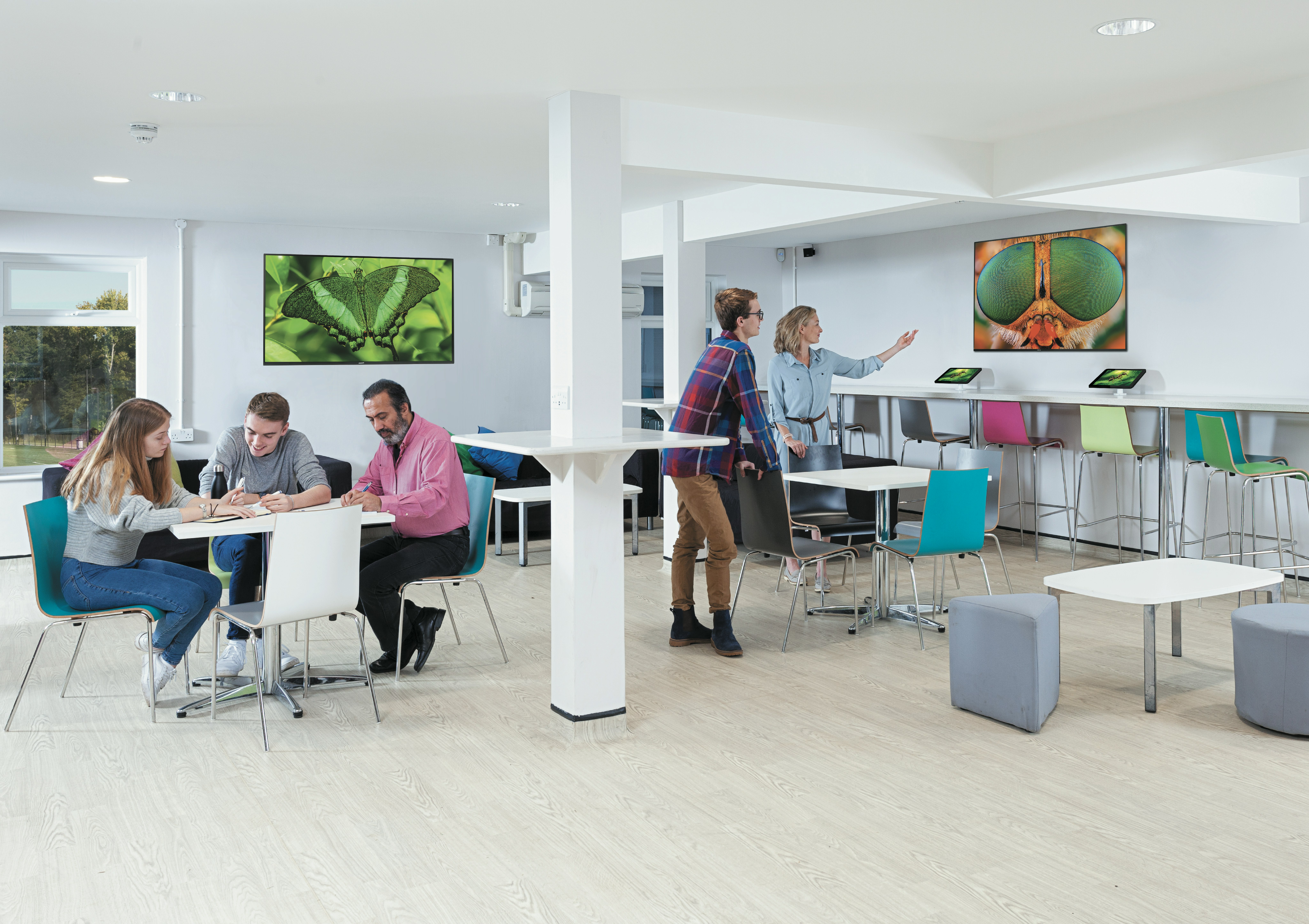EDUCATION - School Classroom - 10 T-line - Q-line image