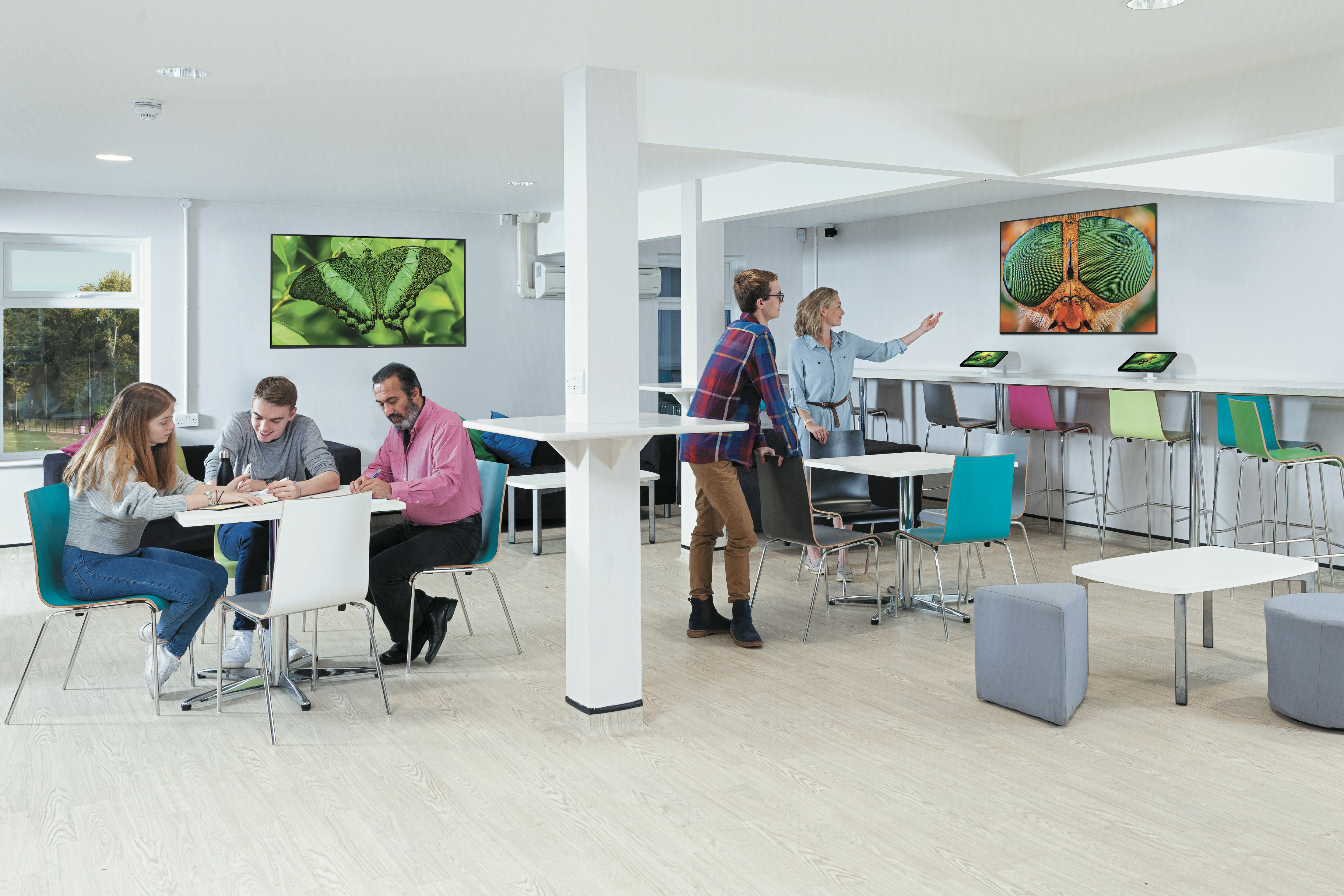 EDUCATION - School Classroom - 10 T-line - Q-line education school classroom 10 t line q line