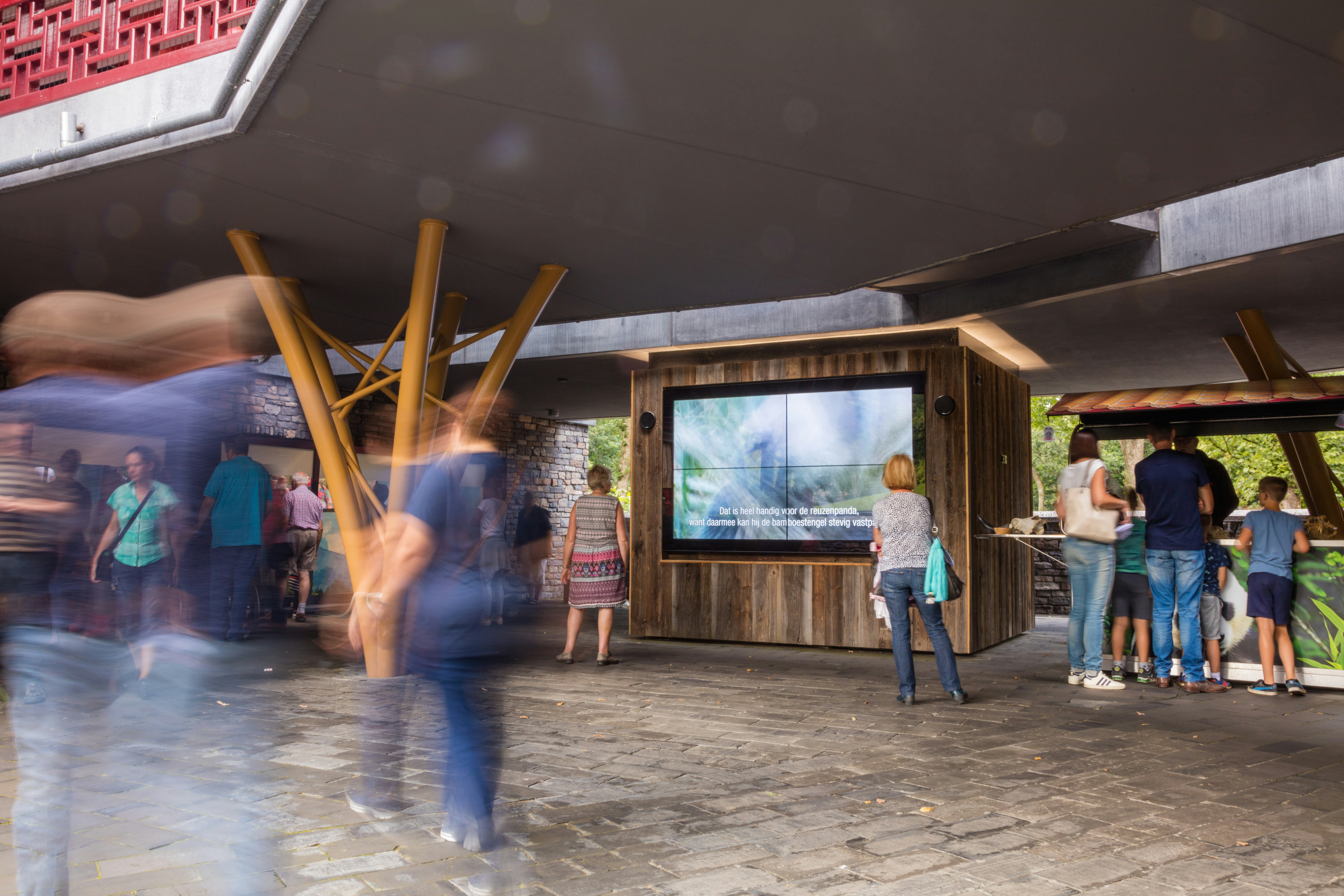 IMG_0407LR img 0407lr