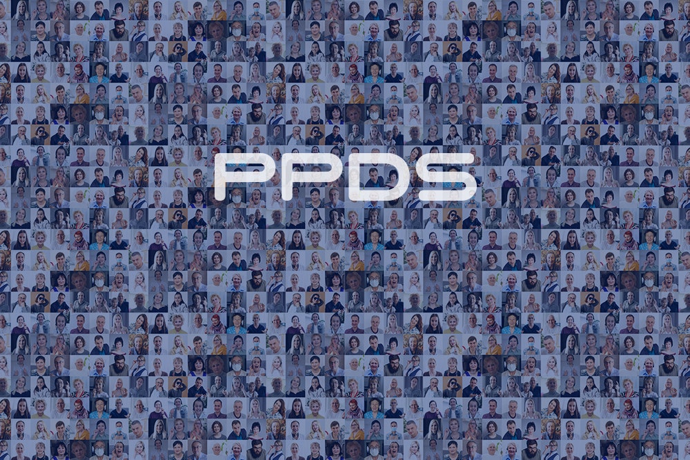 PPDS-Interconnect-1000_2 ppds interconnect 1000 2