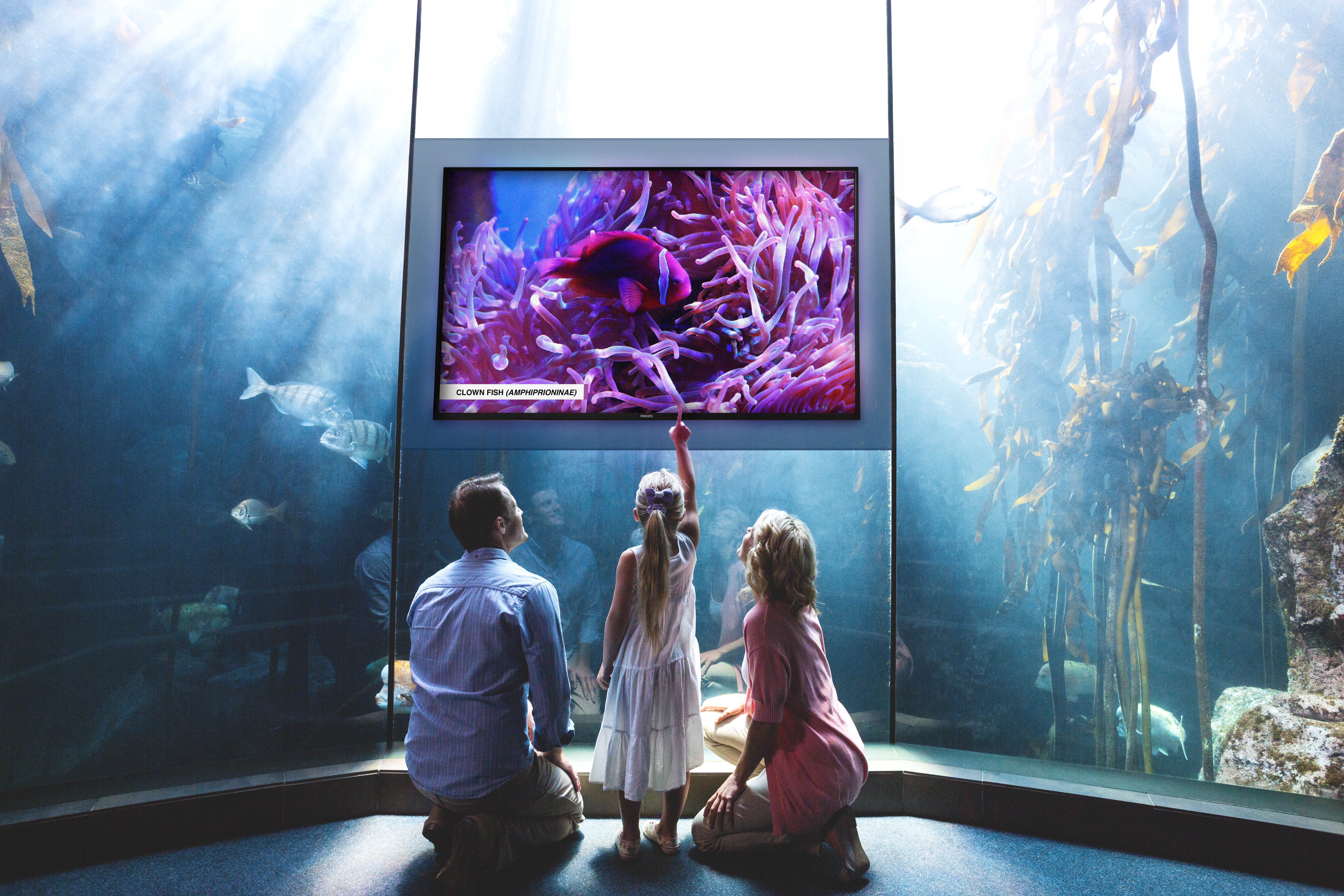 01 D-Line Public Venue Aquarium image