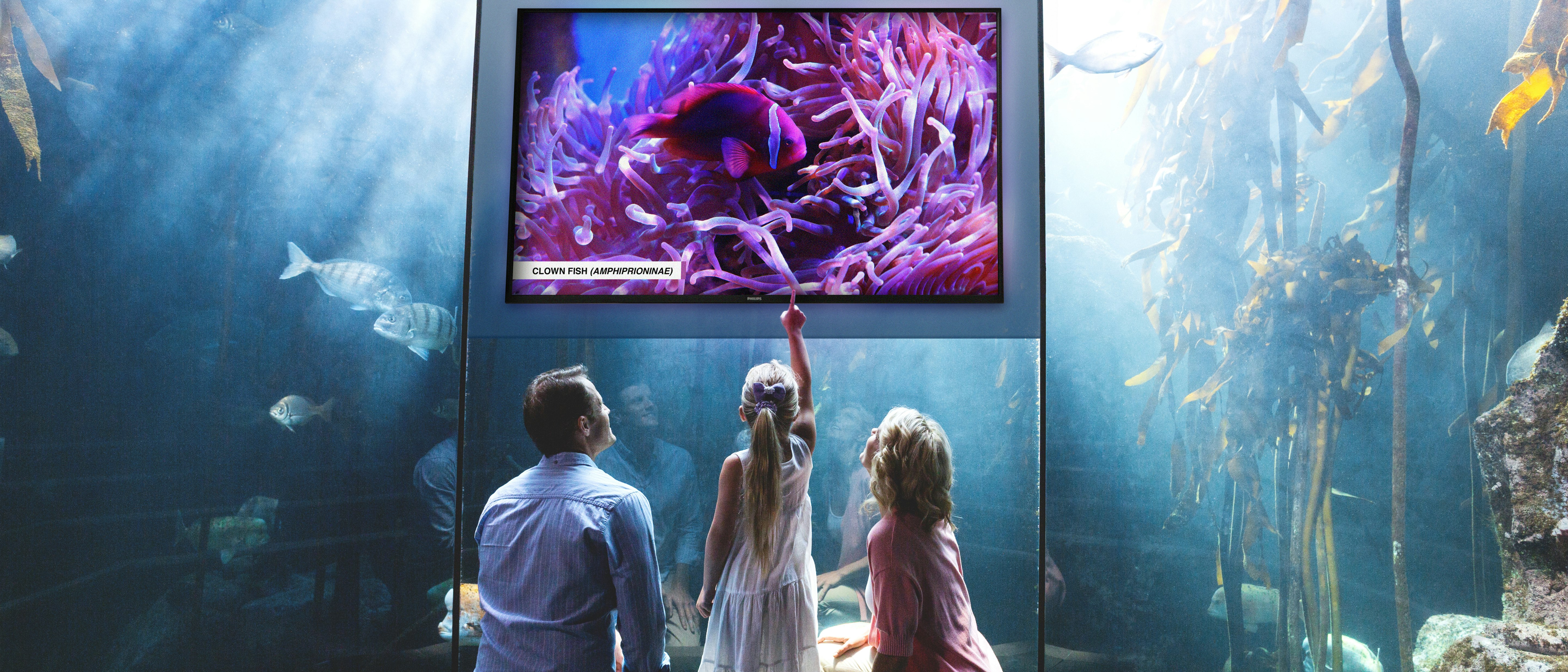 01 D-Line Public Venue Aquarium image