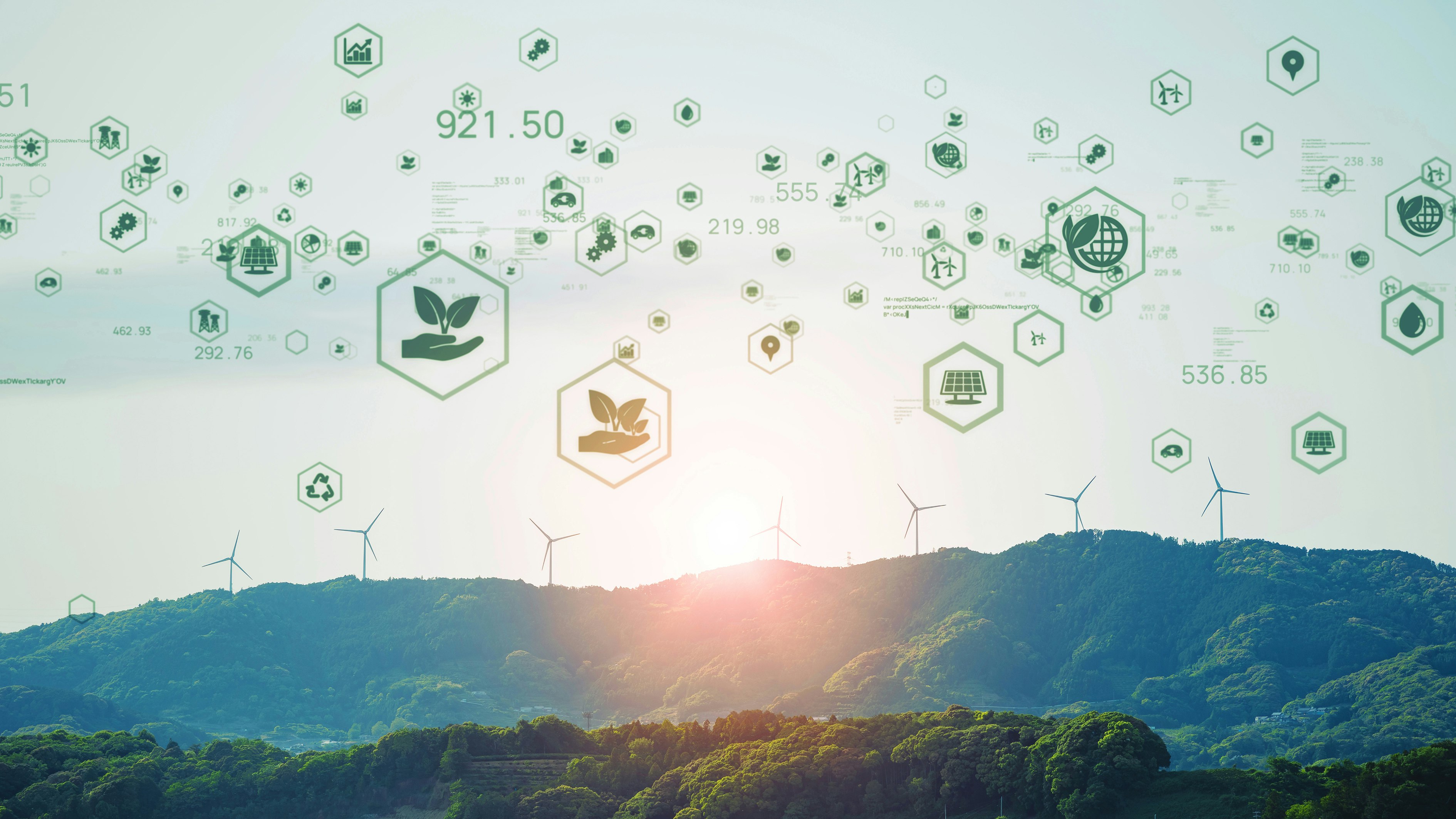 Sustainability-ReducingResources image
