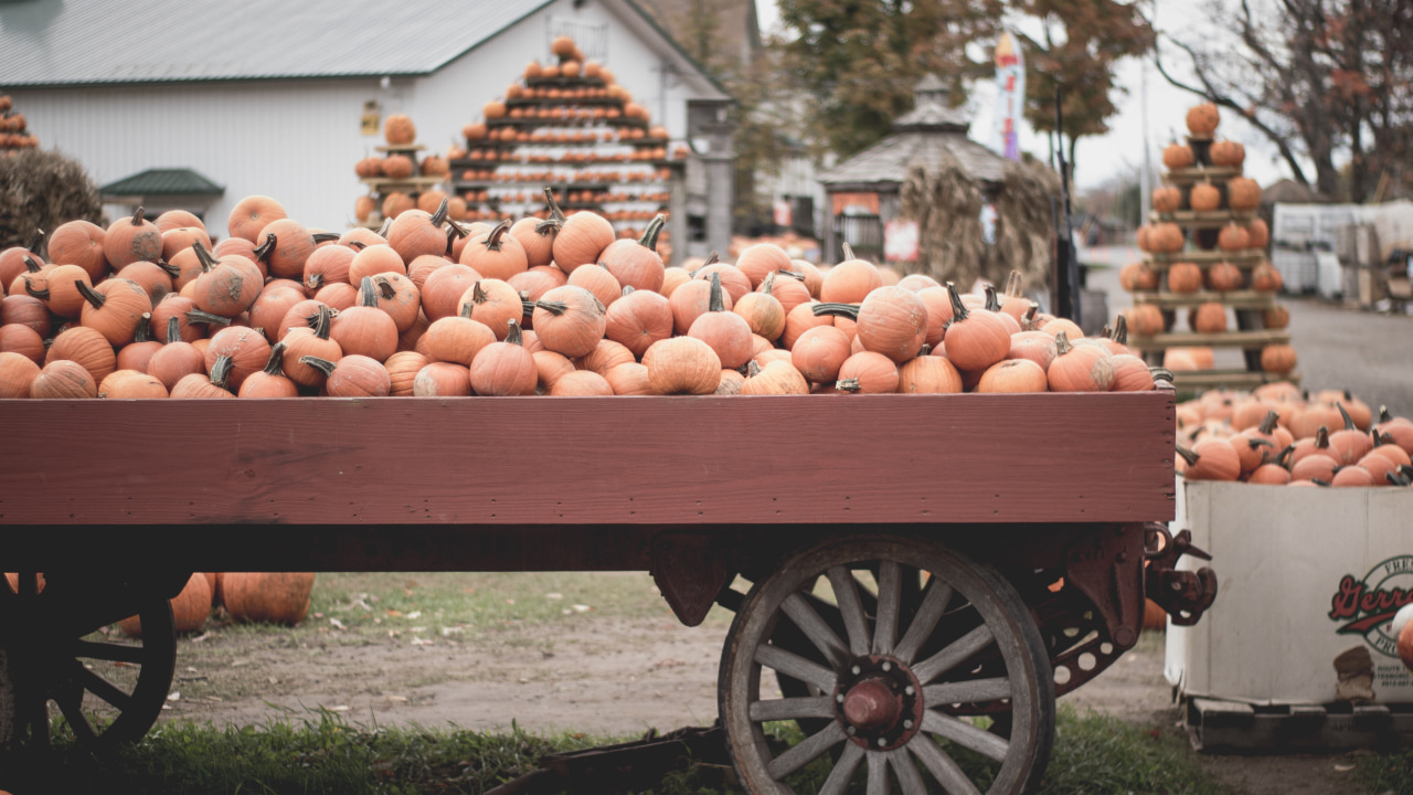Arrière-plan virtuel Halloween