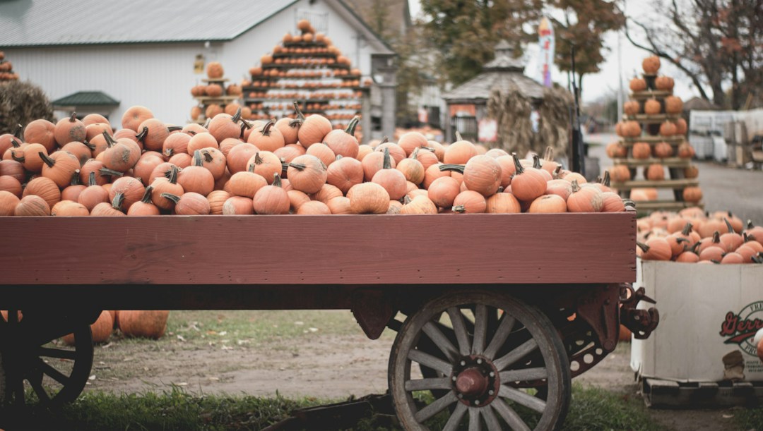 Arrière-plan virtuel Halloween