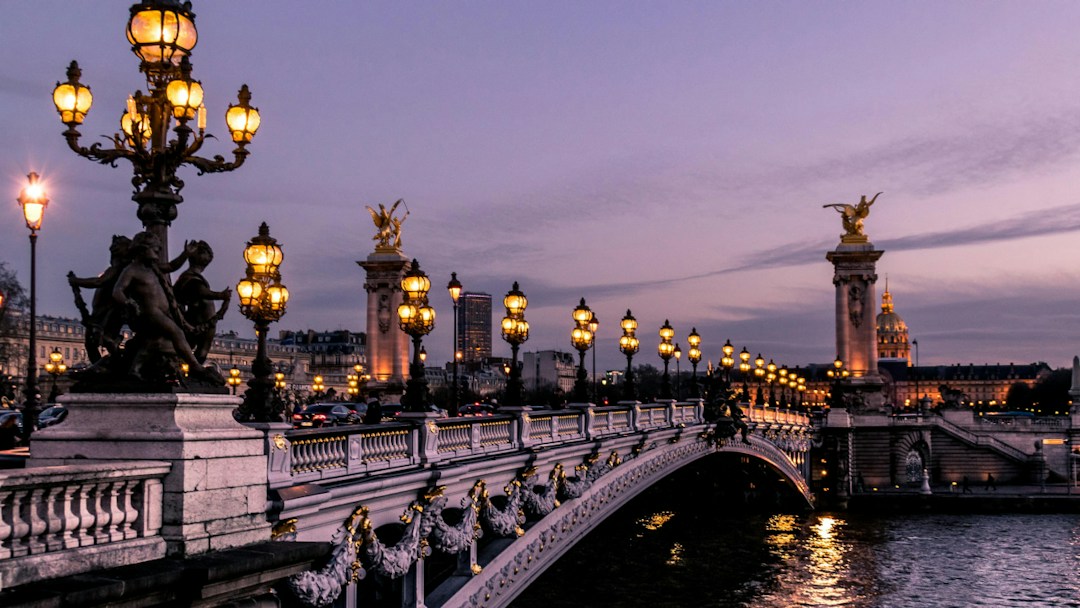 Virtual background bridge Paris