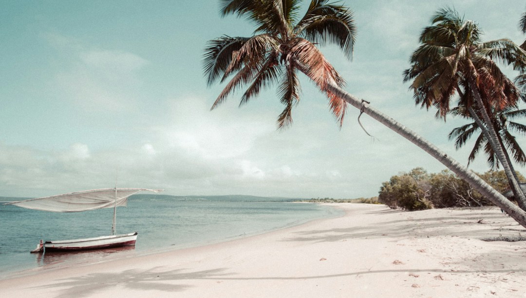Virtual background beach
