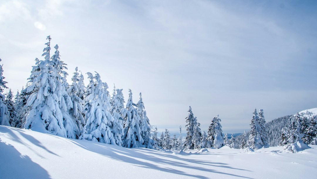 Fondo virtual de montañas nevadas