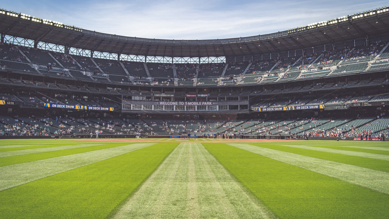 Virtual background baseball