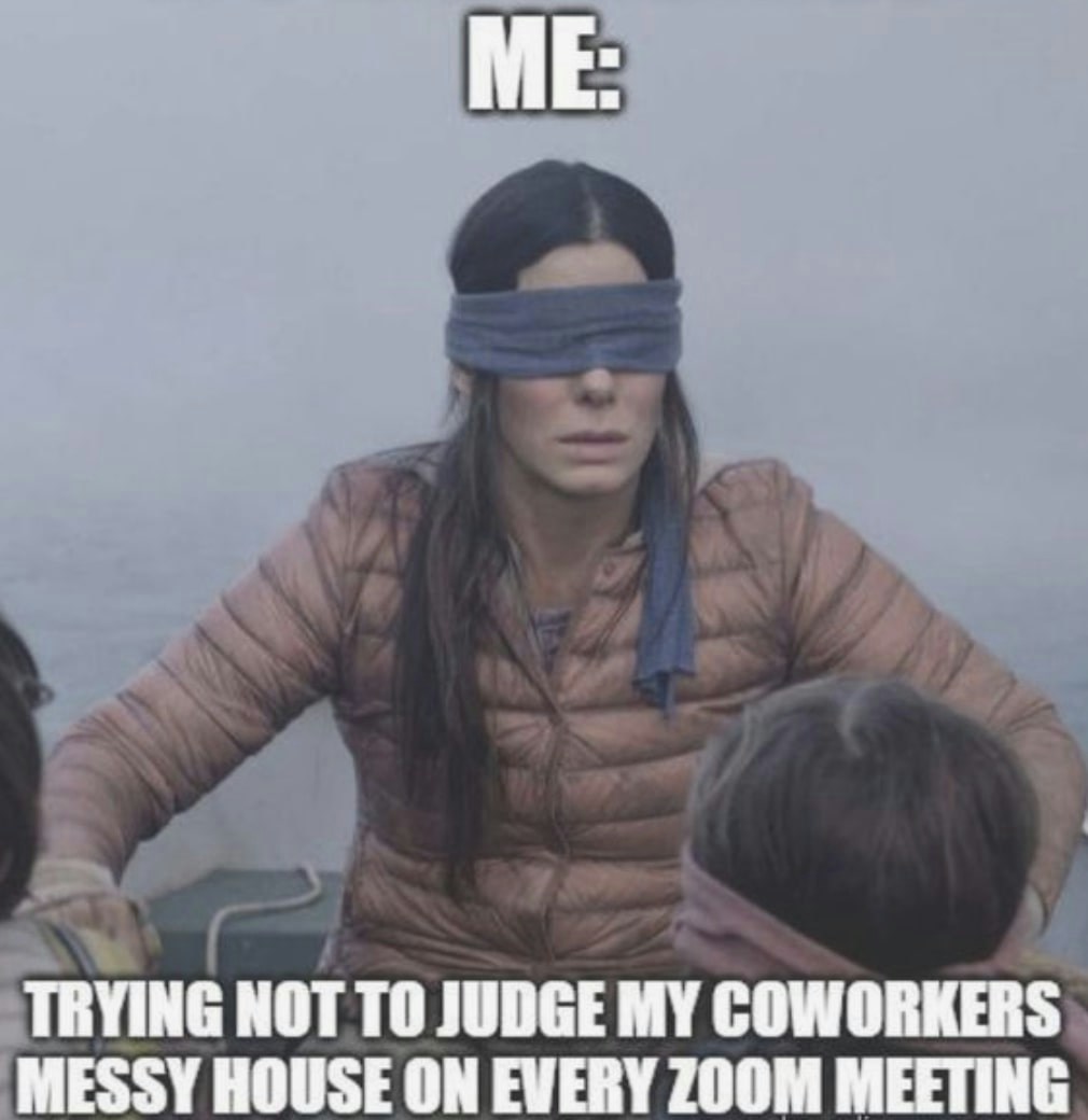 Video conference call meme