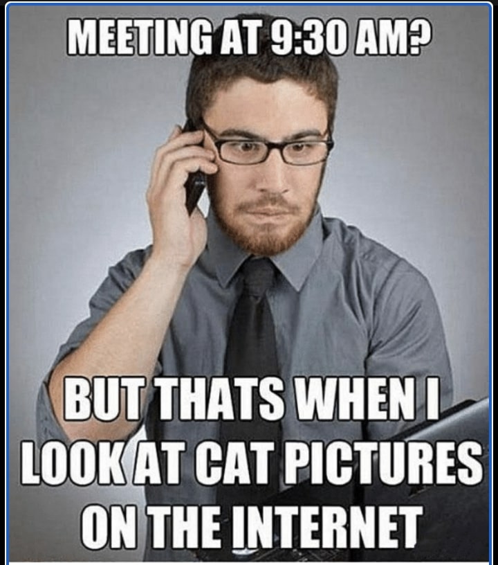 Early zoom work meetings meme