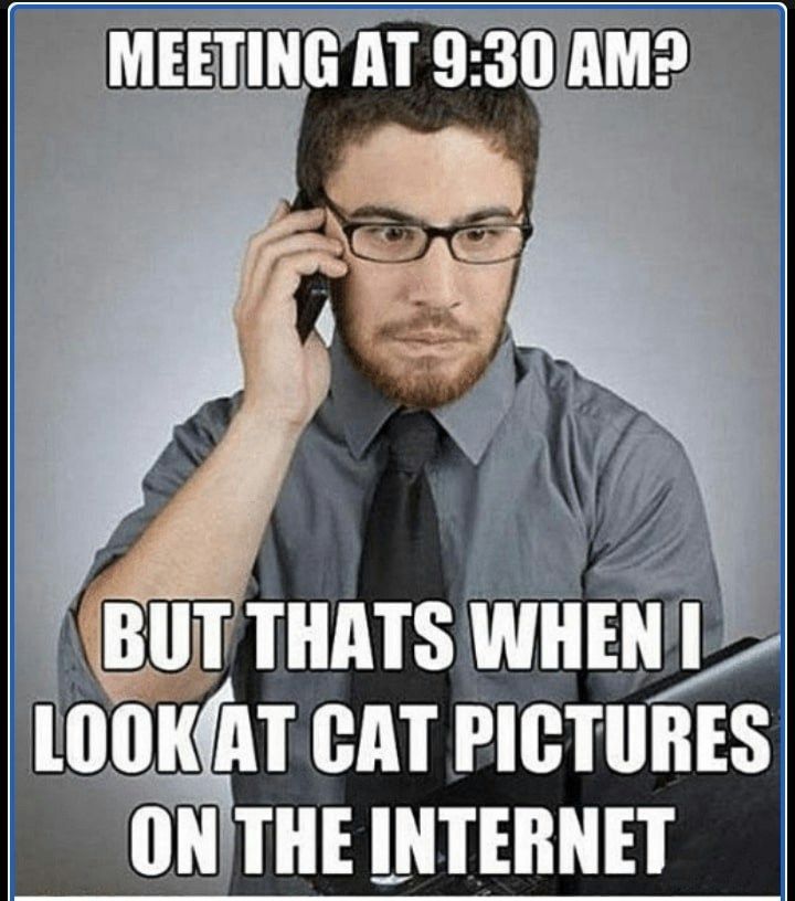 Early zoom work meetings meme