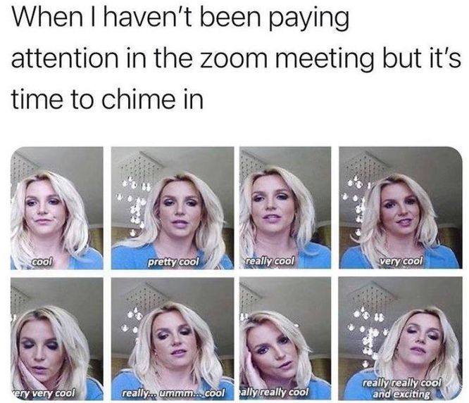 Zoom meeting fail meme