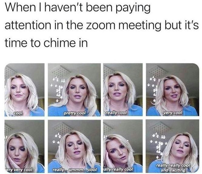 Zoom meeting fail meme
