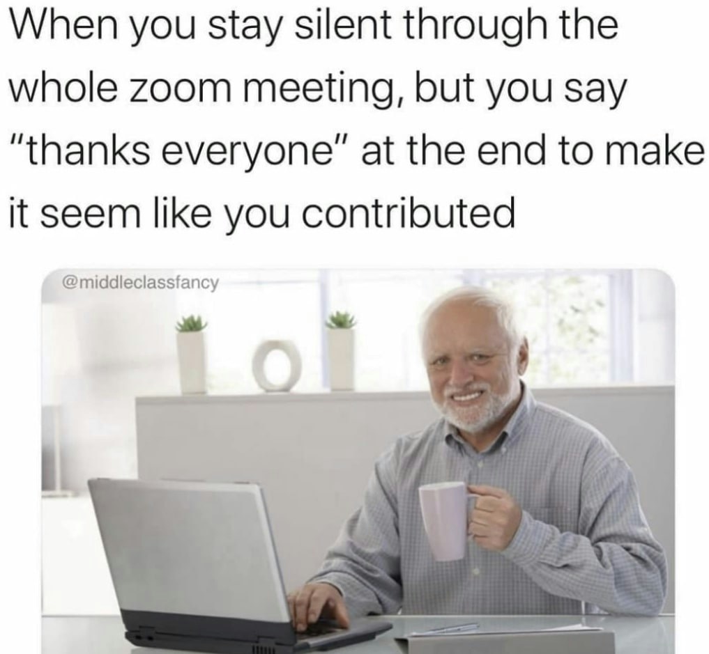 Work video conference meme