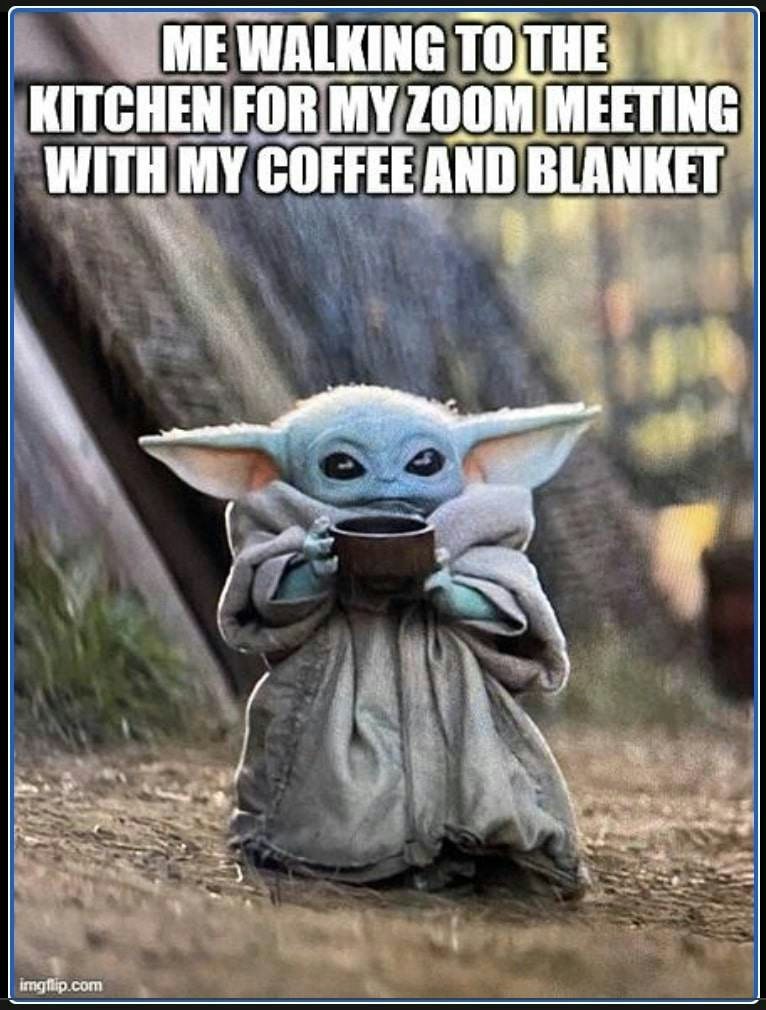 Zoom conference call meme