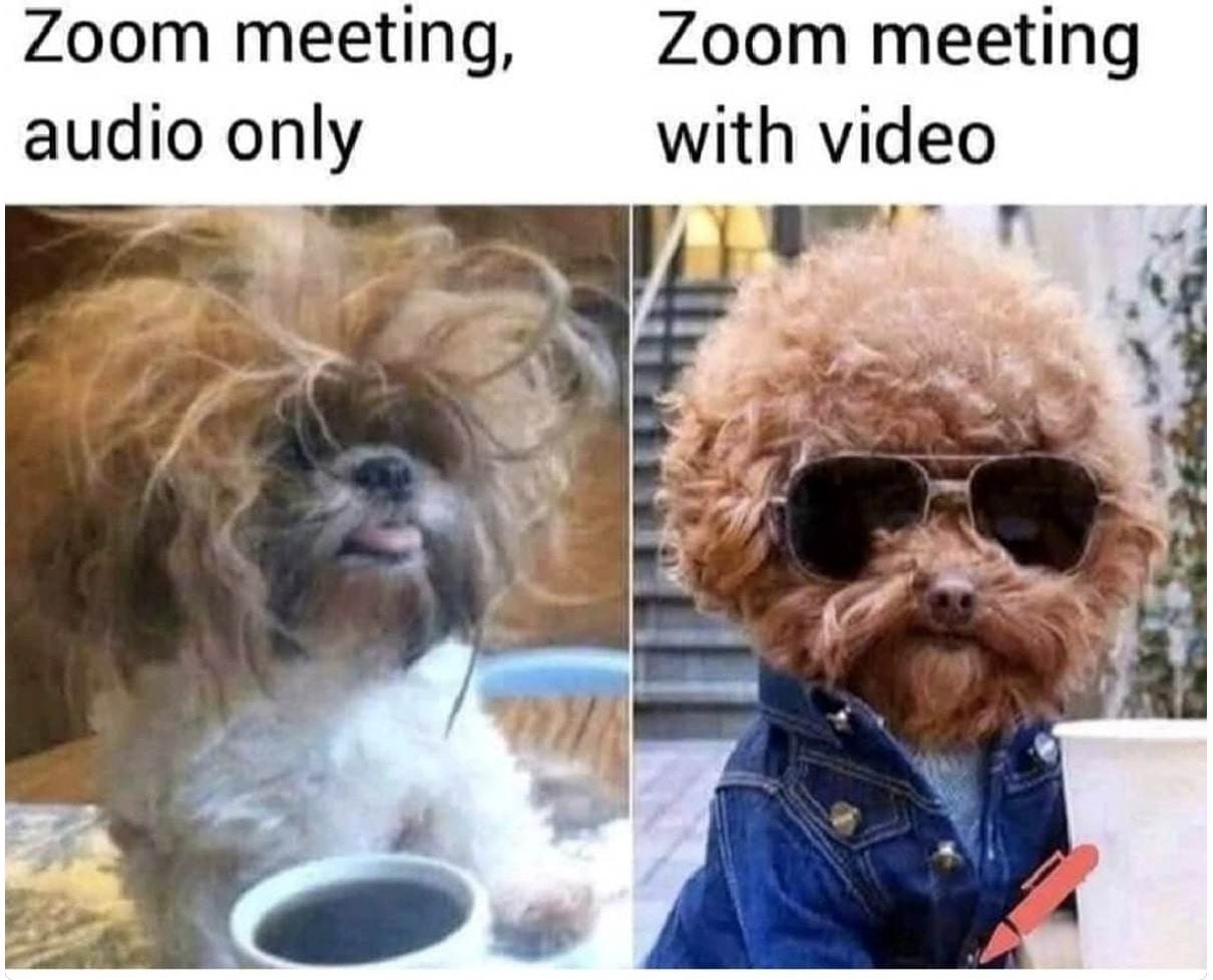 zoom meeting meme