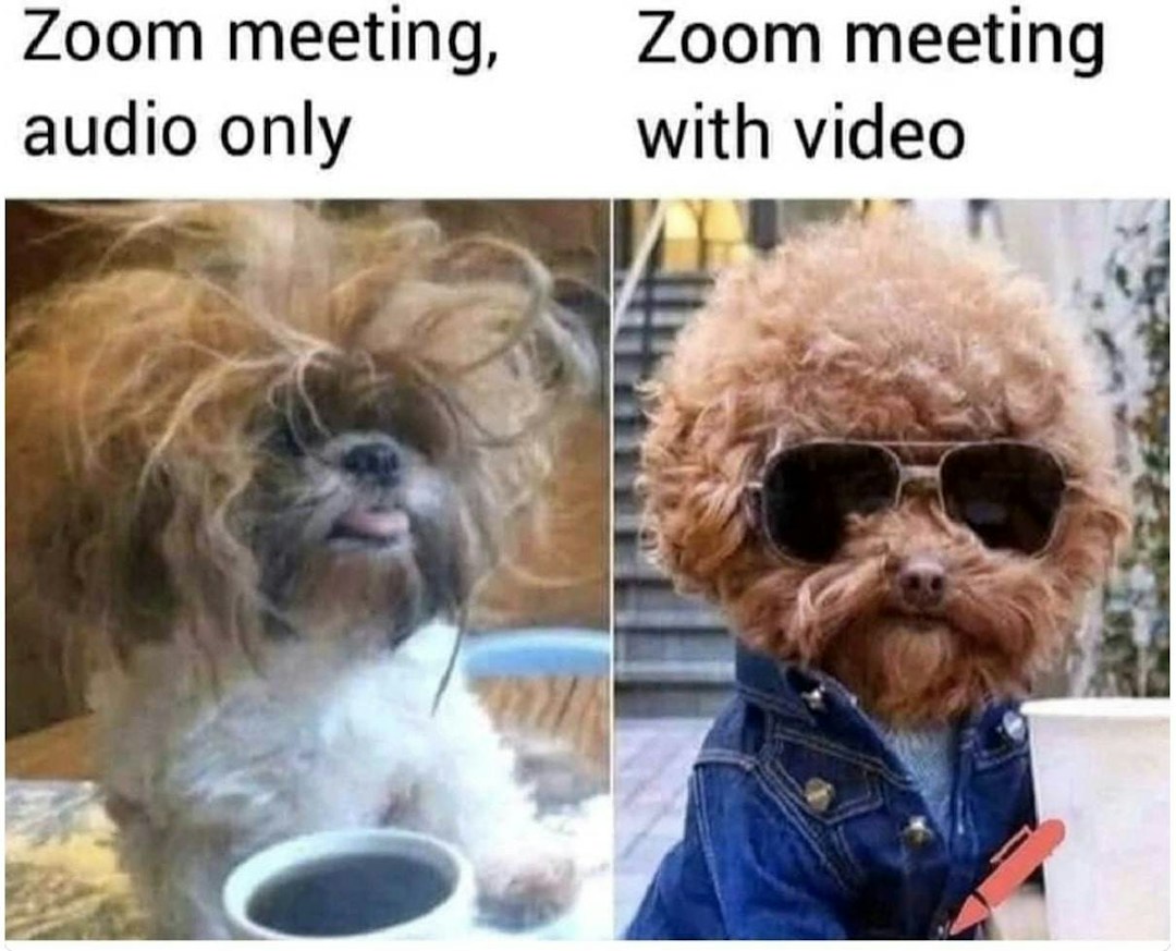 zoom meeting meme