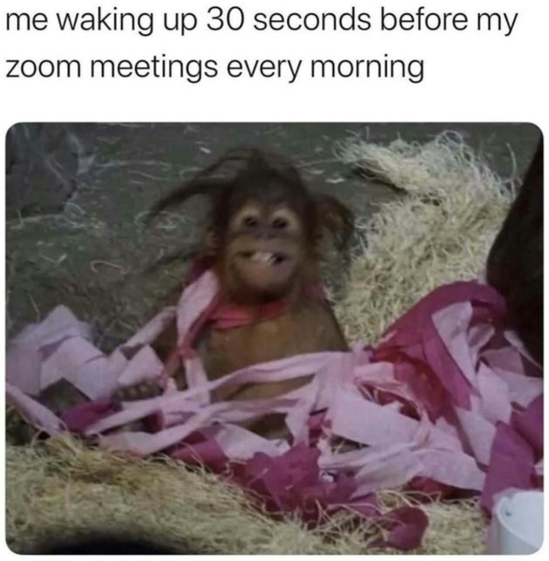 Waking up to remote work meme