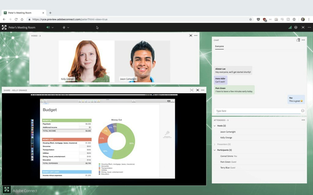 A screensharing of budget documentation on the video meeting app Adobe Connect