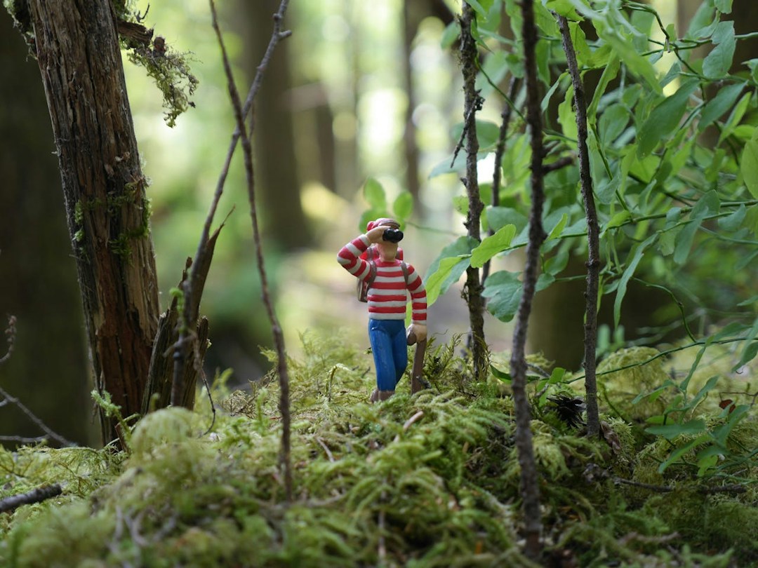 waldo
