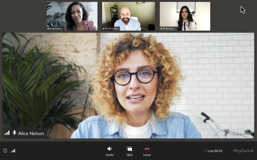 RingCentral Webinar interface