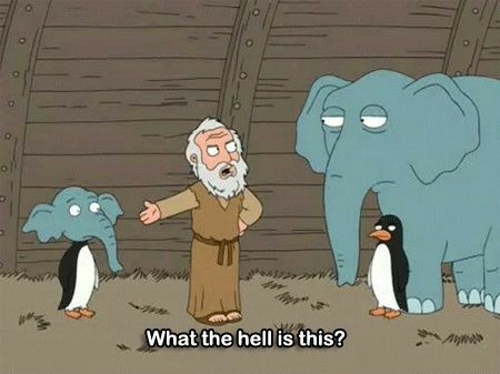 Elephant Penguin