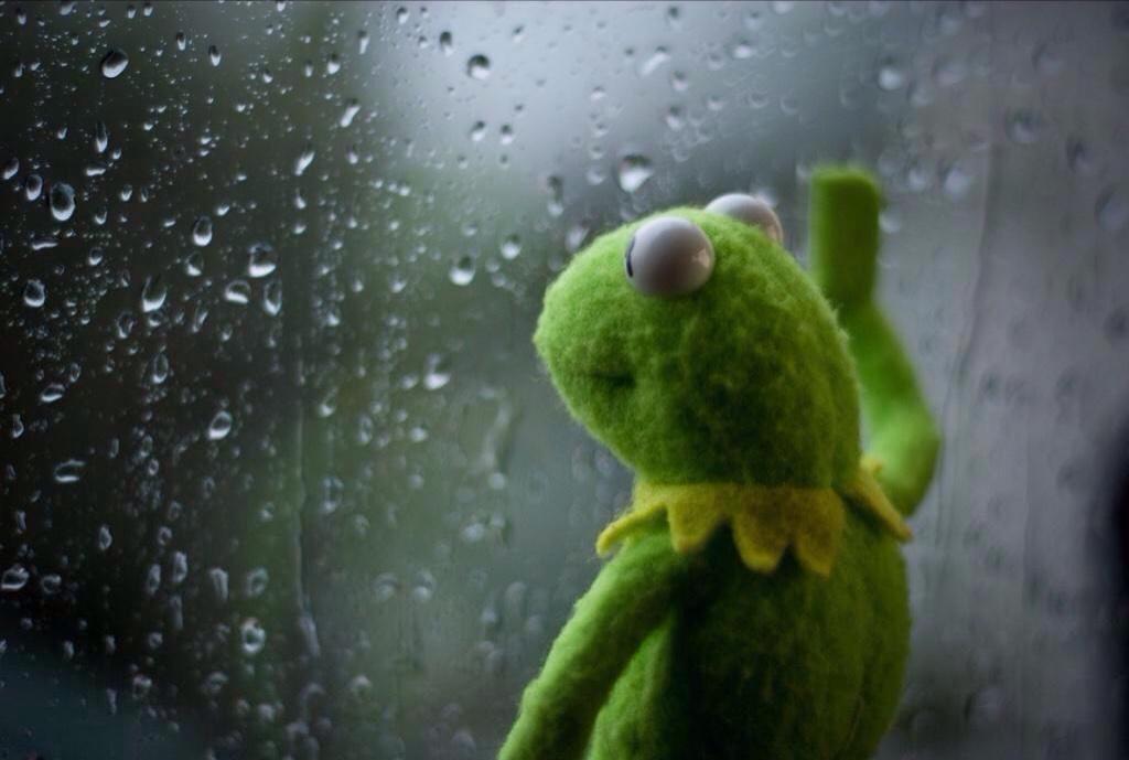 Sad Kermit