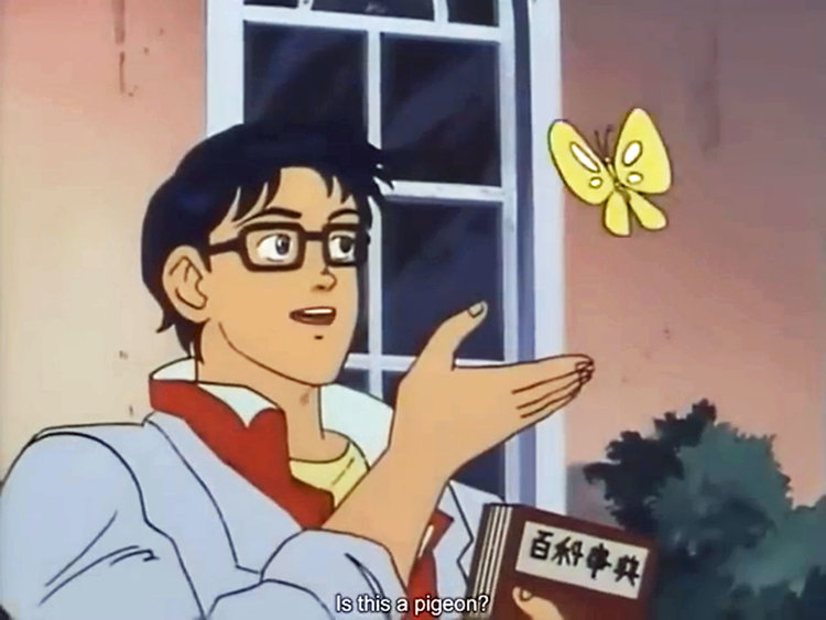 Is This a Pigeon