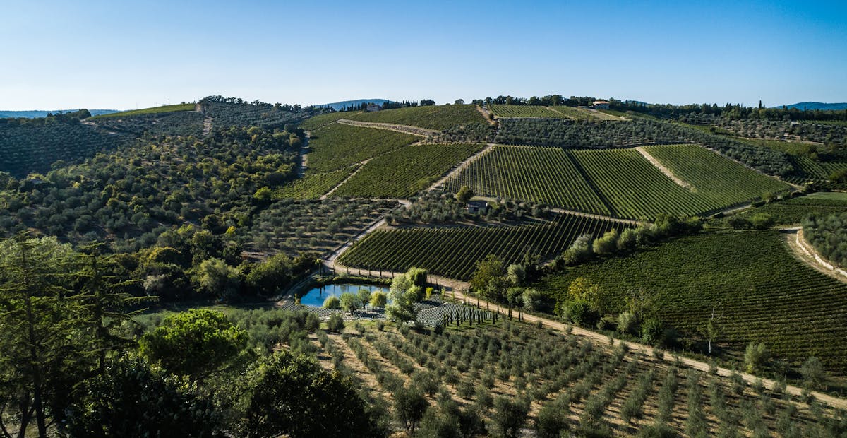 castello di ama wine tour