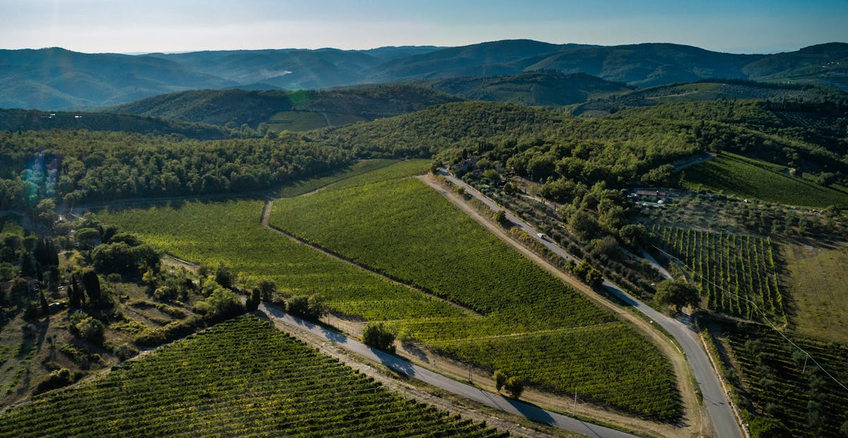 castello di ama wine tour