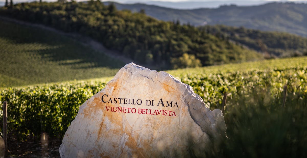 castello di ama wine tour