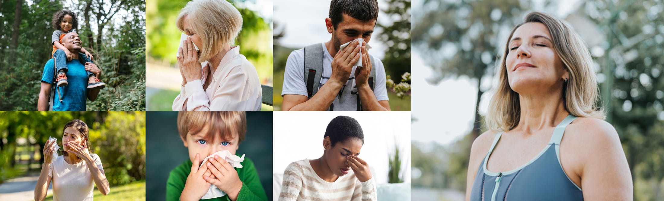 allergy media