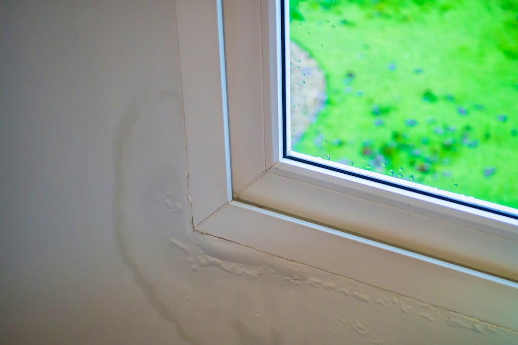 Leaky windows with visible water damage to the surrounding wooden frame.