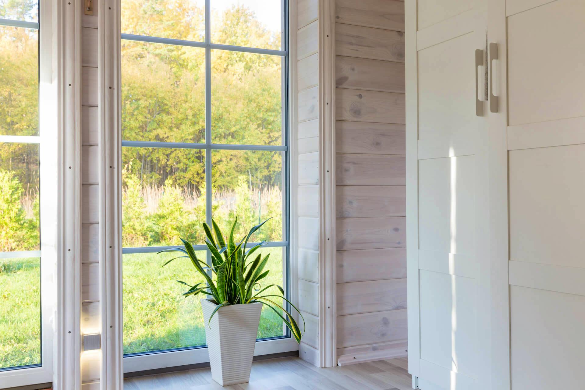 Glass home window.