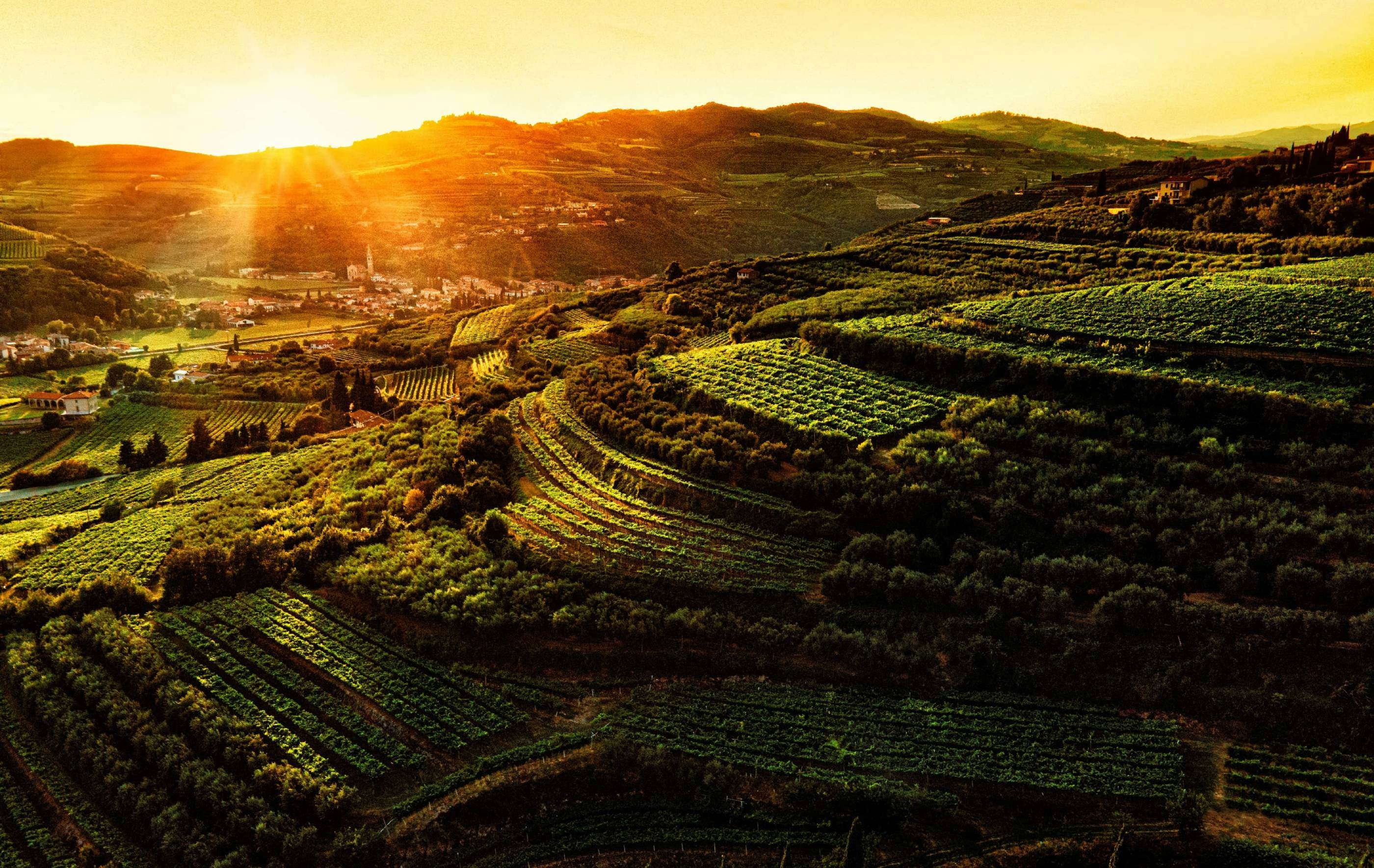 Veneto Tasty Tour