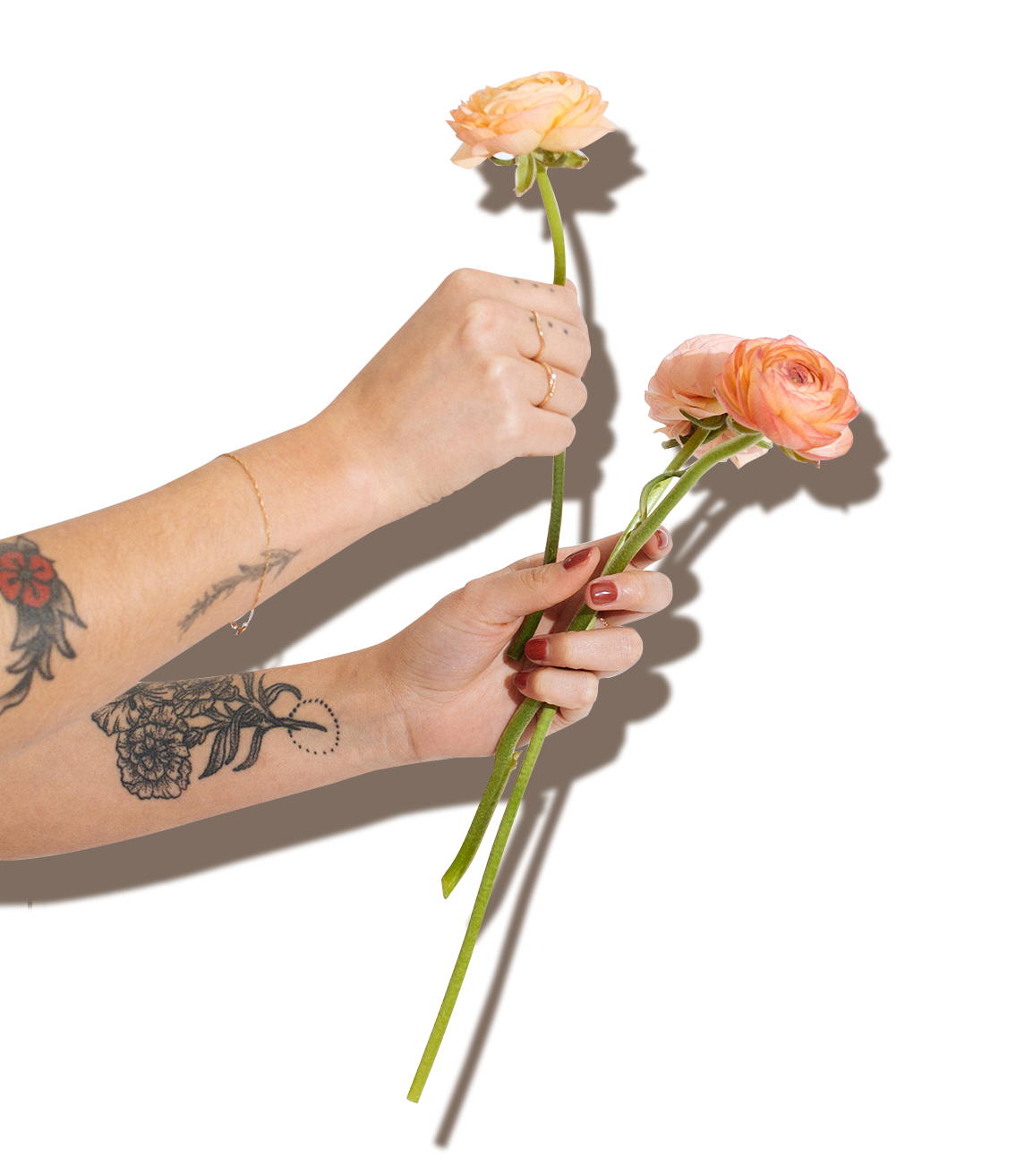 hands holding flowers