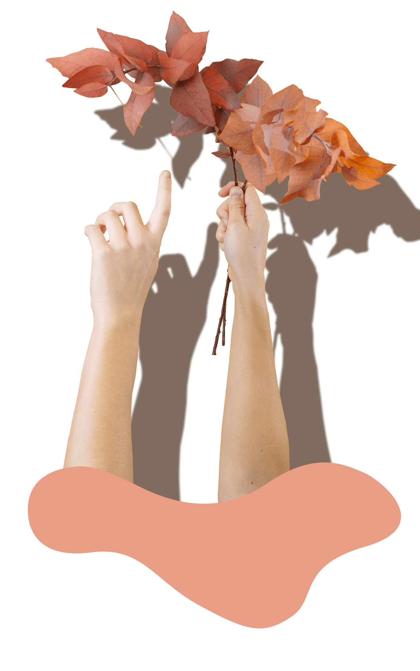 hands holding flowers