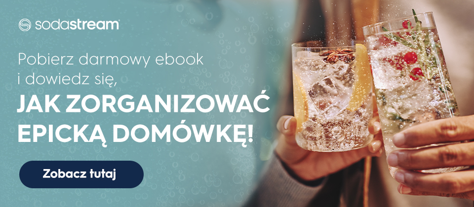 Pobierz darmowy ebook i dowiedz się, jak zorganizować epicką domówkę - baner