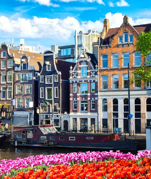 Amsterdam street scene with boats, tulips and canals