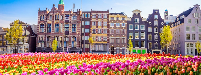Traditional Dutch Houses in Amsterdam with tulips