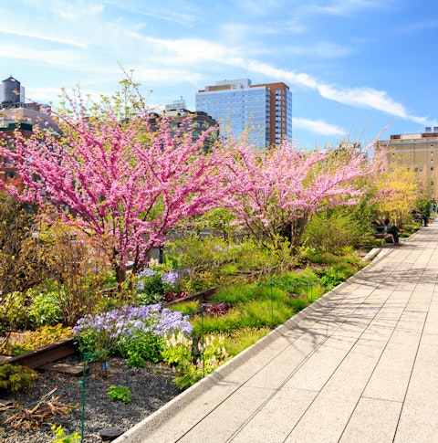 Springtime view of the High Line in New York