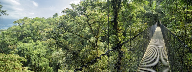 Hanging Bridges skywalk in the rainforests of Costa Rica