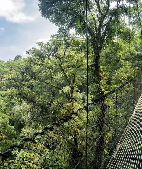 Hanging Bridges skywalk in the rainforests of Costa Rica
