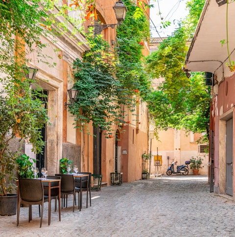 Cozy street with plants in Trastevere, Rome, Europe.