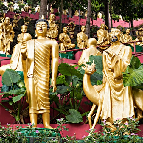 Bronze statues in the Thousand Buddhas Monastery in Hong Kong