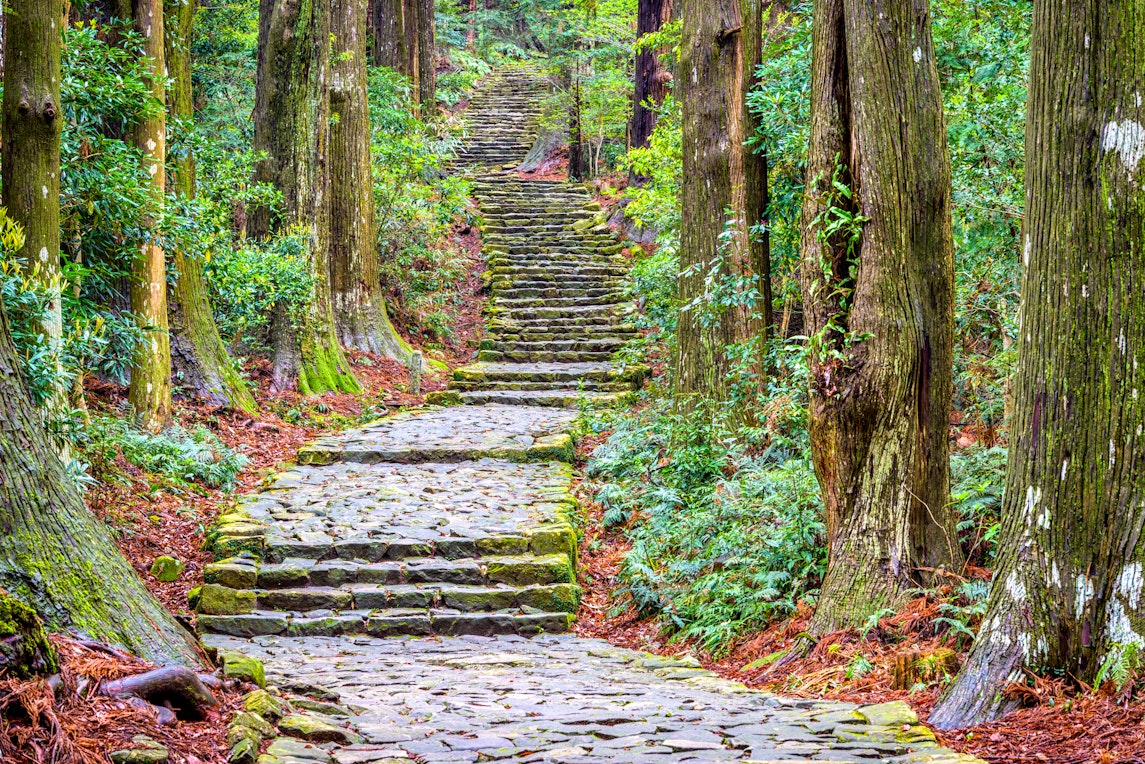 The Kumano Kodo trail, a sacred trail in Nachi, Wakayama, Japan.