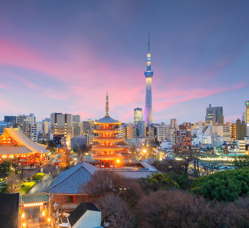 Dusk view across Tokyo featuring Pagodas and lights