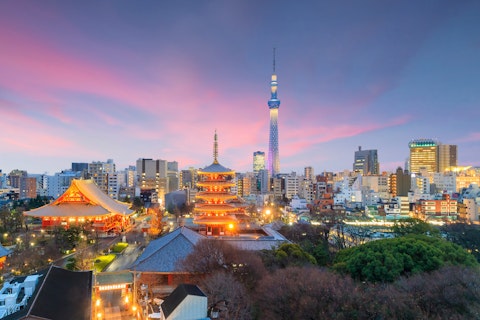 Dusk view across Tokyo featuring Pagodas and lights